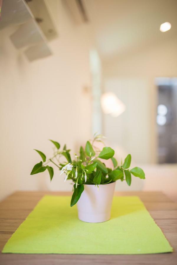Apartment In Vis Historic Center - Mikula, Ljubica, Toma Eksteriør bilde